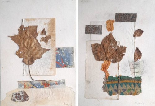 Herbier
